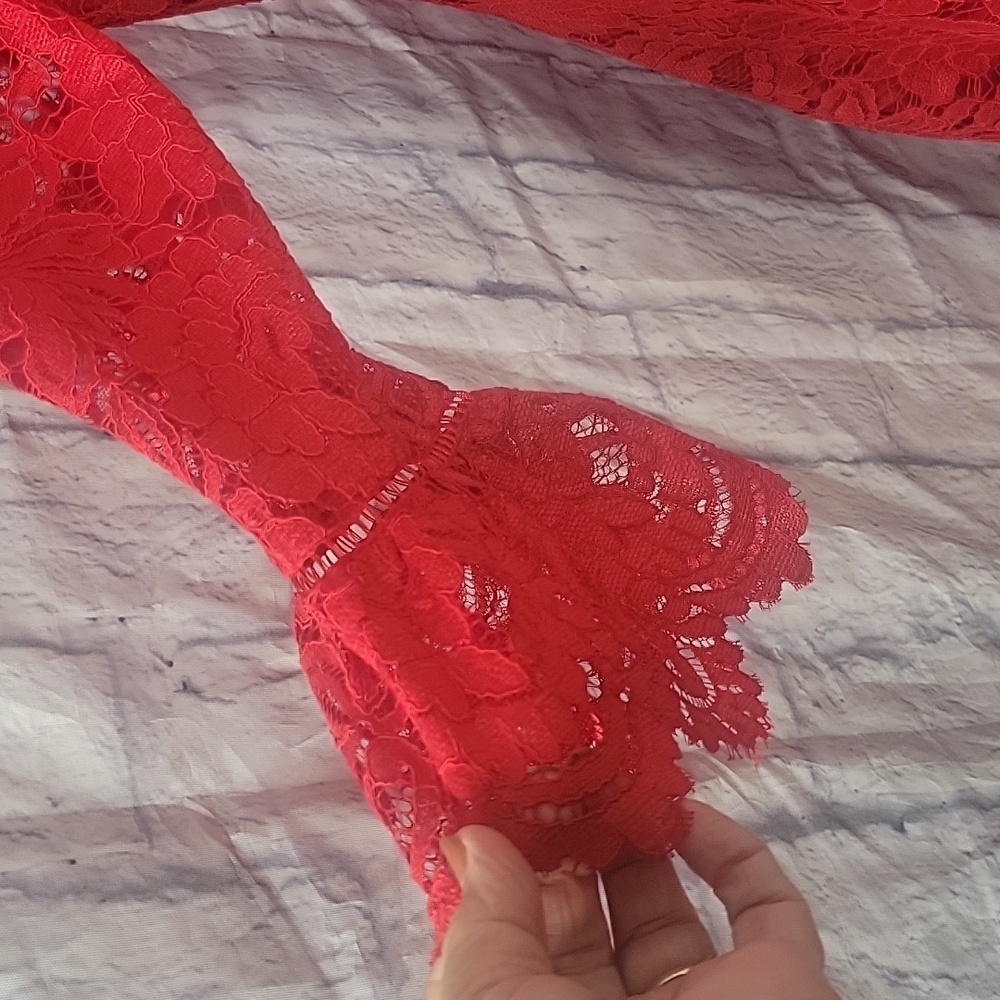DONNA RICCO Detailed Red Lace Dress Size 10 - Picture 4 of 8